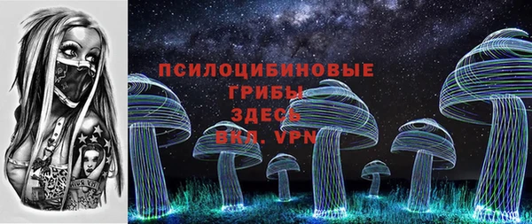гидропоника Нязепетровск