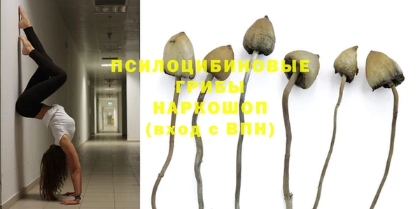 ALPHA-PVP Нягань