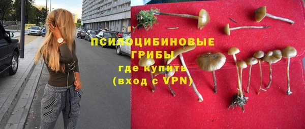 гидропоника Нязепетровск