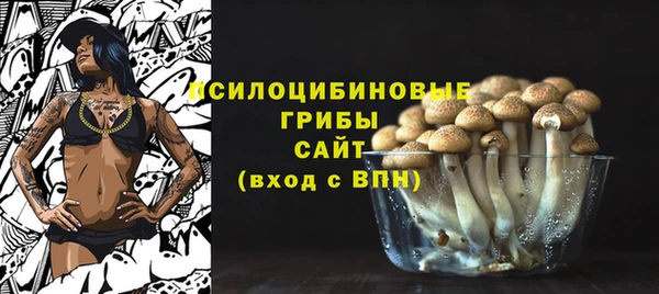 ALPHA-PVP Нягань