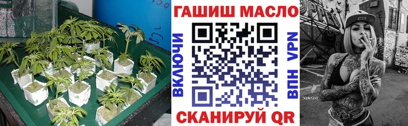 ТГК концентрат  гидра сайт  Петушки 