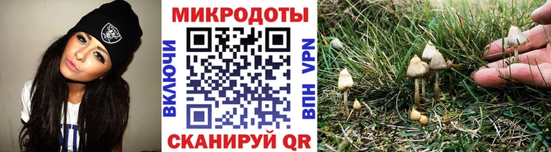 дарнет шоп  Петушки  Псилоцибиновые грибы мухоморы 