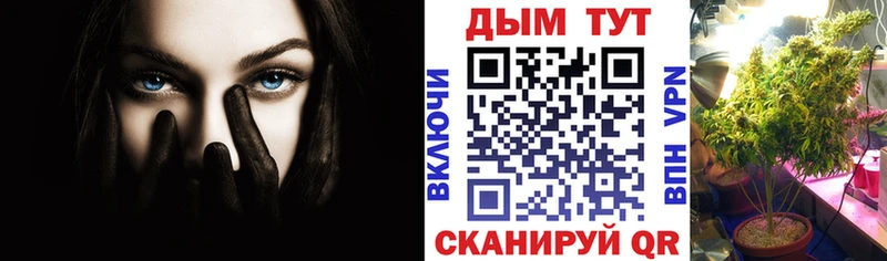 как найти наркотики  darknet Telegram  mega ссылки  Канабис AK-47  Петушки 